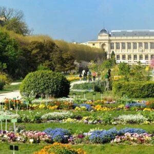 que faire à Paris quand il pleut